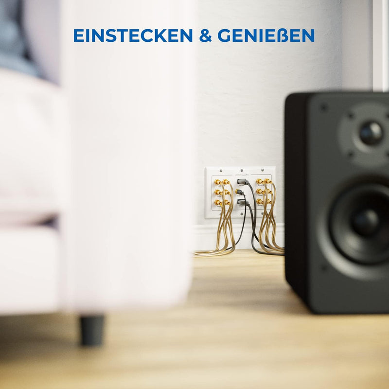 deleyCON Multimedia Lautsprecher Boxen Wanddose Anschlussdose Wandplatte mit Bananenstecker-Buchsen