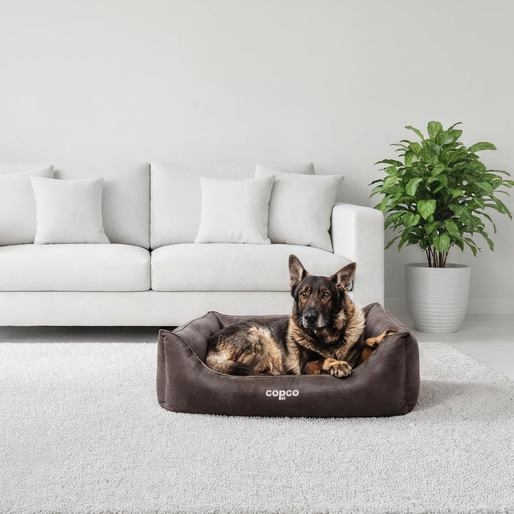 CopcoPet – Hundebett Emma in Wildlederoptik – Hundekörbchen mit abnehmbarem, waschbarem Bezug – Hund