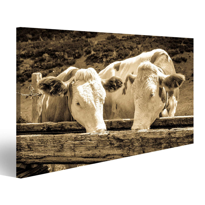 islandburner Bild auf Leinwand Kühe In Den Europäischen Alpen Foto Wandbild Poster Kunstdruck Bilder