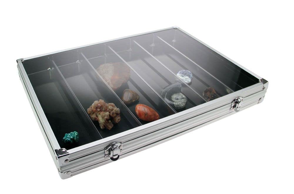 SAFE 5874 Sammel-Vitrine-Alu 6 Fächer