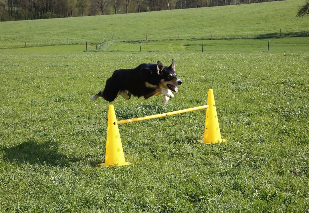 Kerbl Pet Agility Pylonen-Hürden Set, gelb, 3 Hürden