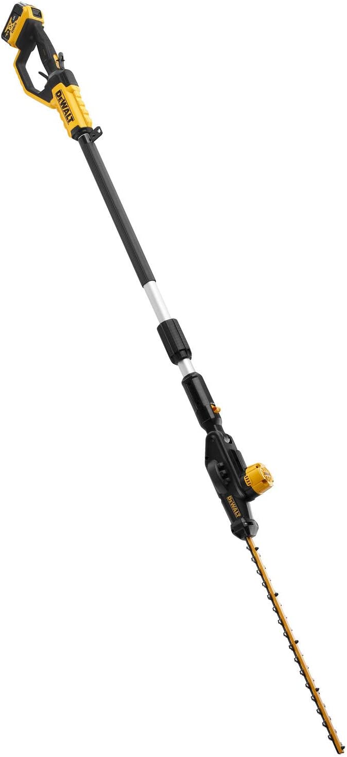 DEWALT Cortasetos de pÚrtiga XR 18V con 1, Multicolor, Avec batterie Avec batterie Einzigartig, Avec