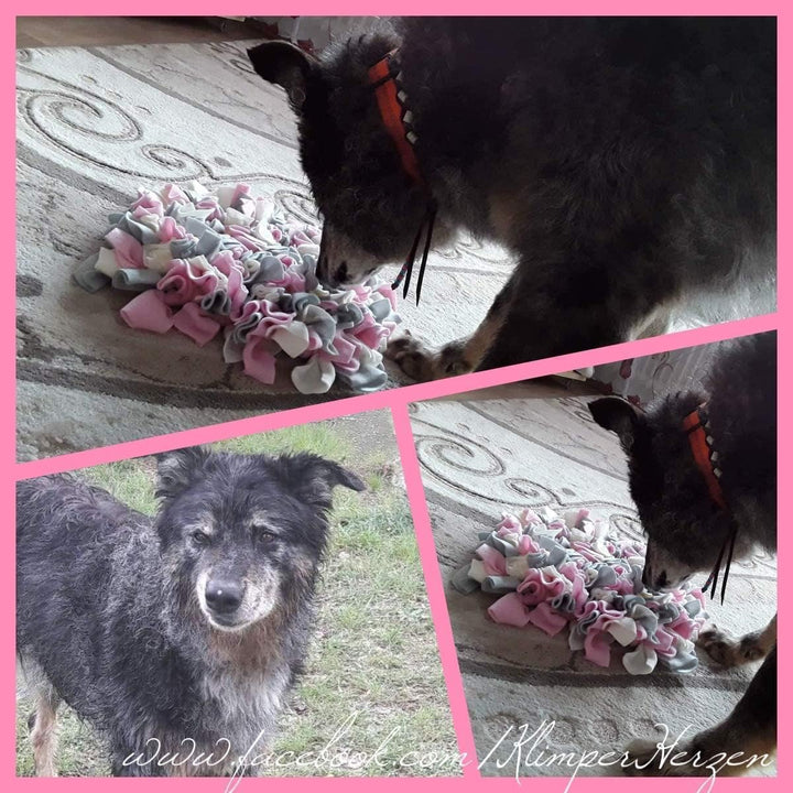 Schnüffelteppich, Schnüffelmatte, Schnüffelwiese, Hund,Katze, Training, Spielzeug, hochwertige Handa
