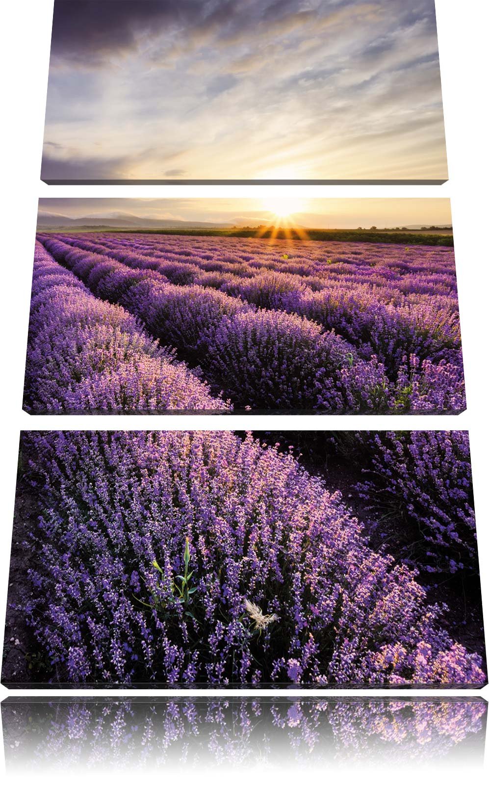 Pixxprint Traumhafte Lavendel Provence als Leinwandbild/Grösse: 3 Teilig (120x80) cm/Wandbild/Kunstd