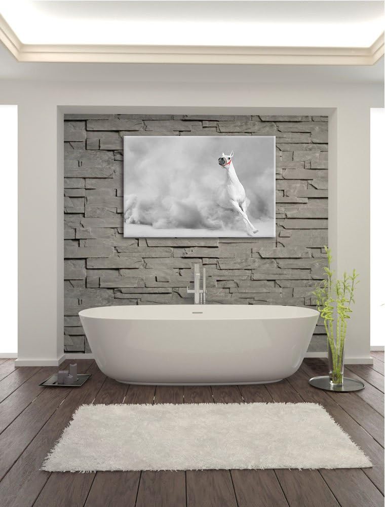 weisser Hengst in der Wüste schwarz/weiss Format: 100x70 auf Leinwand, XXL riesige Bilder fertig ger