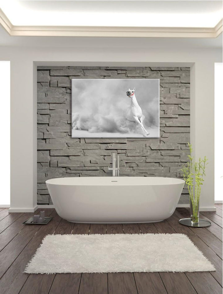 weisser Hengst in der Wüste schwarz/weiss Format: 100x70 auf Leinwand, XXL riesige Bilder fertig ger