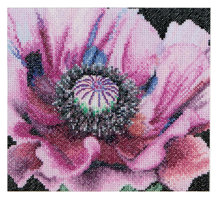 Thea Gouverneur - Kreuzstich-Set - Mohn - Aid - Aida - 18 Count - Für Erwachsene - 491A 491A Aida, 4