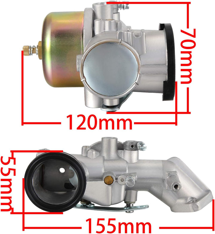 Dromedary Vergaser für Briggs & Stratton 491026 281707 491031 490499 281702