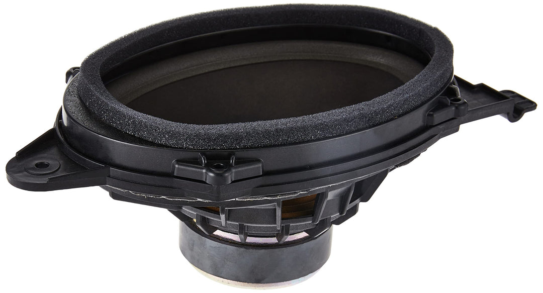 GM ACDelco 13264617 Original Equipment 15,2 x 22,9 cm Heckradio Oval Woofer Lautsprecher