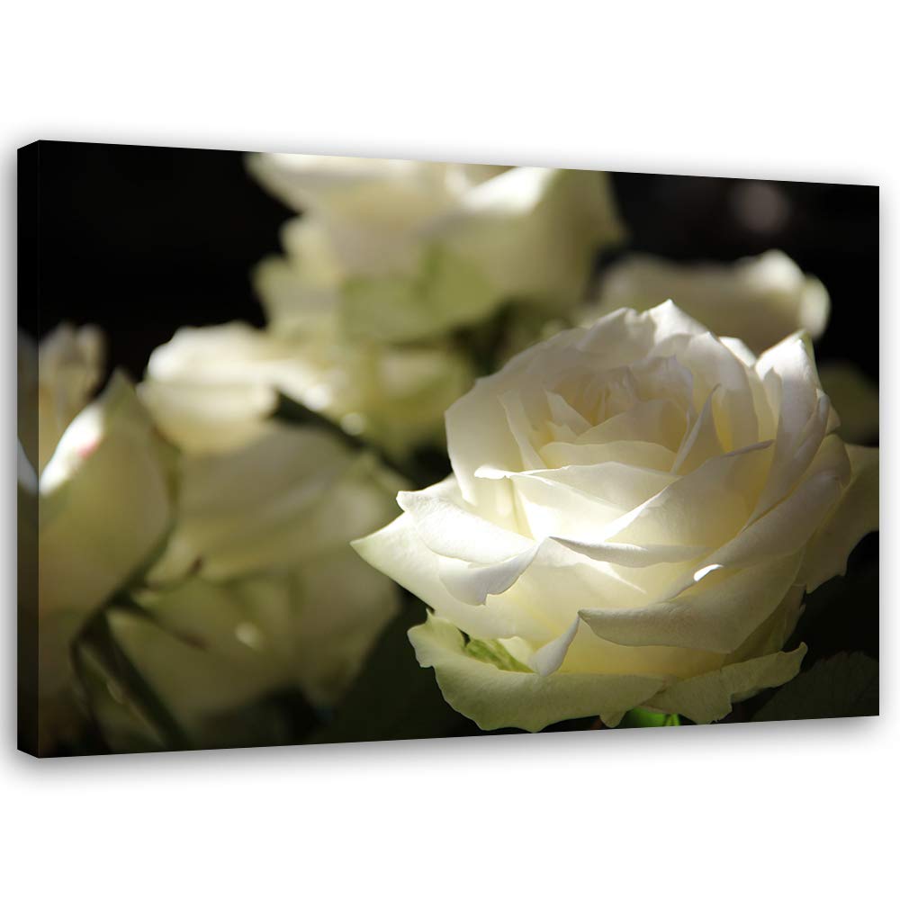 Feeby Bild auf Leinwand Pflanze Kunstdruck modern Blume Beige 80x60 cm M14566 80x60 cm, M14566 80x60