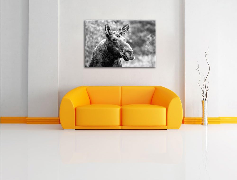 Elch im Wald Kunst B&W, Format: 100x70 auf Leinwand, XXL riesige Bilder fertig gerahmt mit Keilrahme