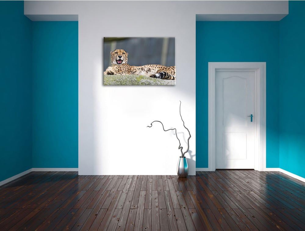 Pixxprint schlafender Gepard auf Leinwand, XXL riesige Bilder fertig gerahmt mit Keilrahmen, Kunstdr