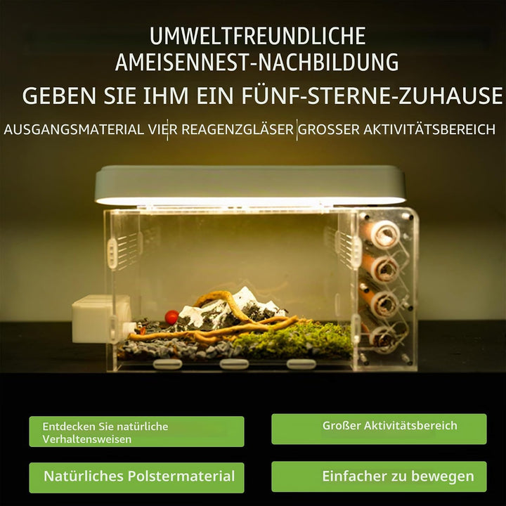 Ameisennest für lebende Ameisen – für kleine Ameisen – natürliches Lernspielzeug – Great Outworld