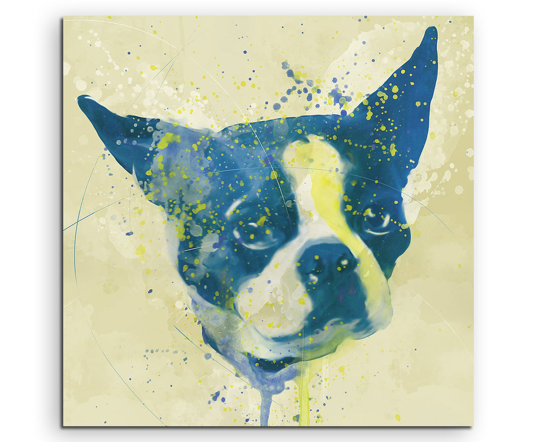 French Dog Aqua 60x60cm - Splash Art Paul Sinus Wandbild auf Leinwand - Malerei, Kunstbild, Aquarell