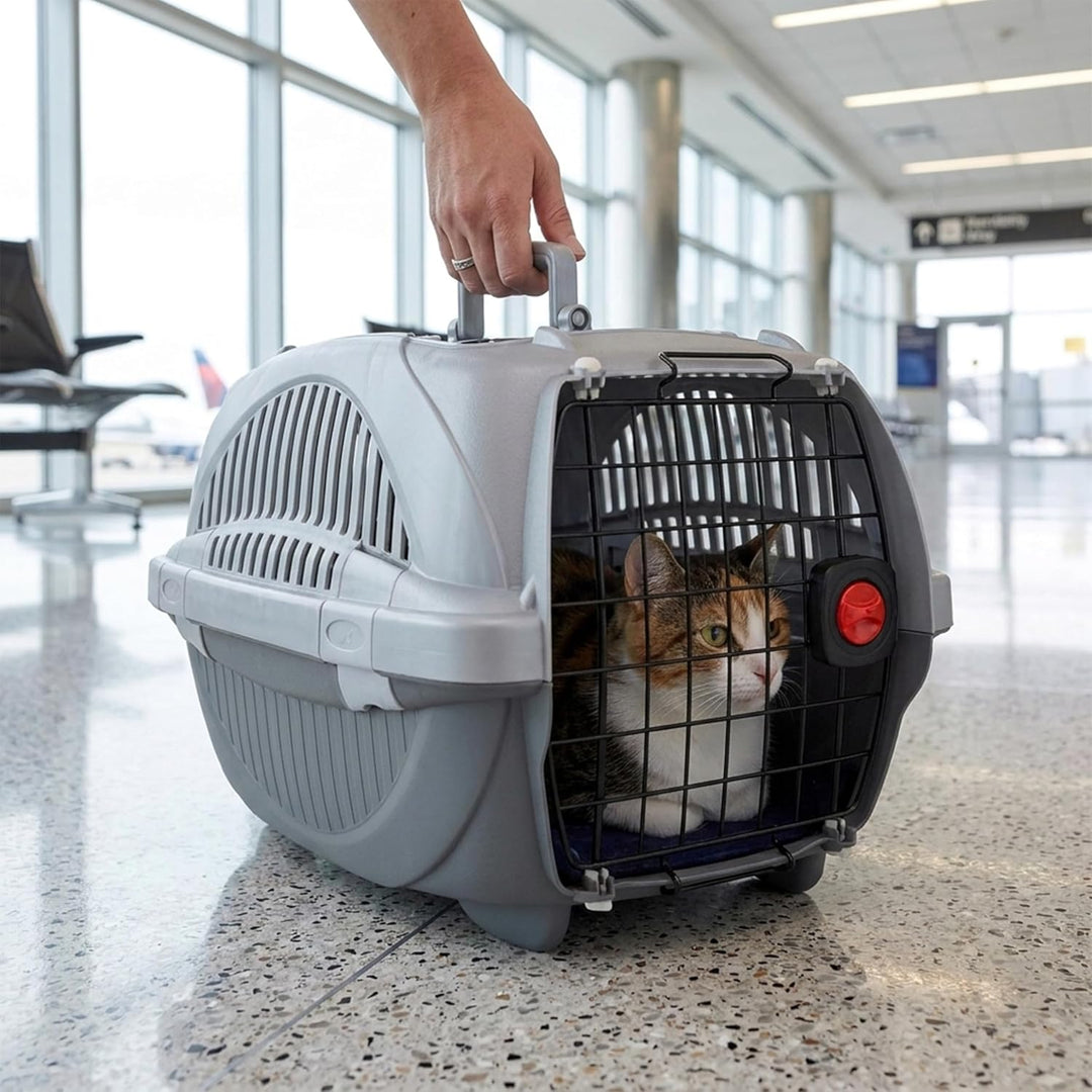 Ferplast Transportbox für Haustiere Hundebox für kleine Hunde und Katzen Atlas deluxe 20 Open, Trans