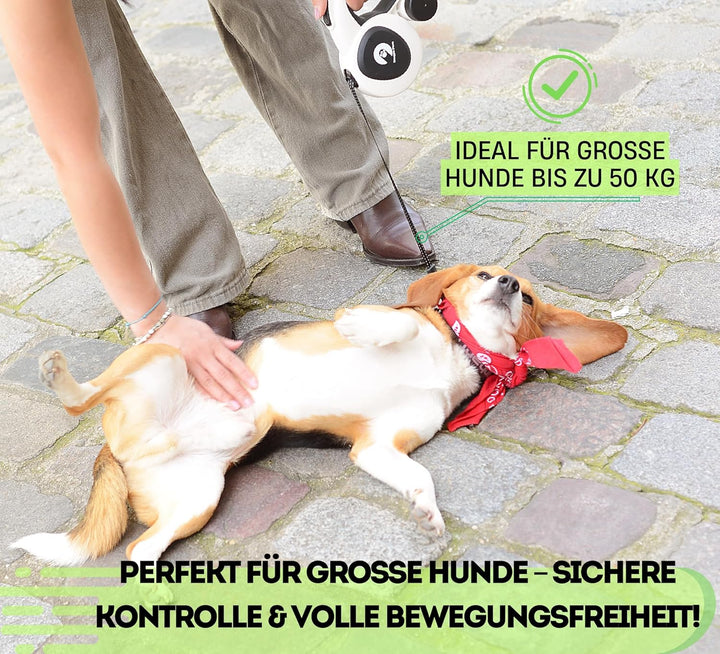 Snuggle Paws Hundeleine 5m Ausziehbar – Alles-in-Einem: Verbesserter LED-Lampe, Kotbeutelspender, An