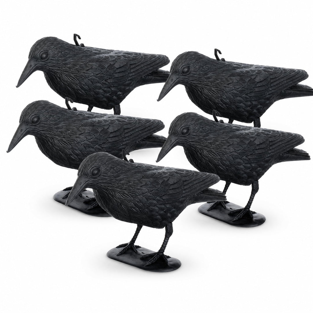 Brandsseller 5er-Set Taubenschreck Rabe Krähe abwehr von Kleinvögeln und Tauben Vogelschreck Tierfre