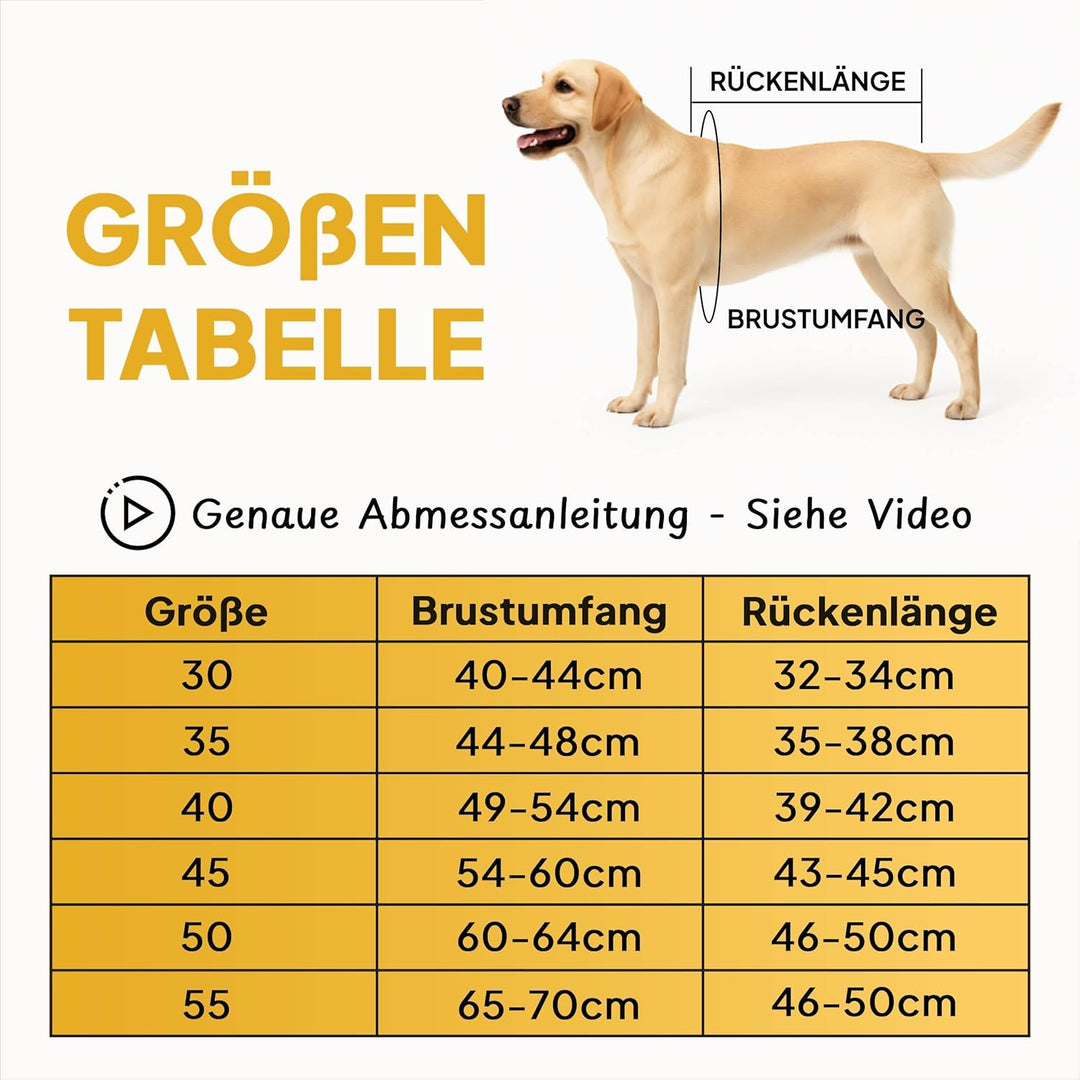 Tierhood Regenmantel Hund - Hundemantel inkl. Geschirr Wasserdicht | Hunderegenmantel wasserdicht- R
