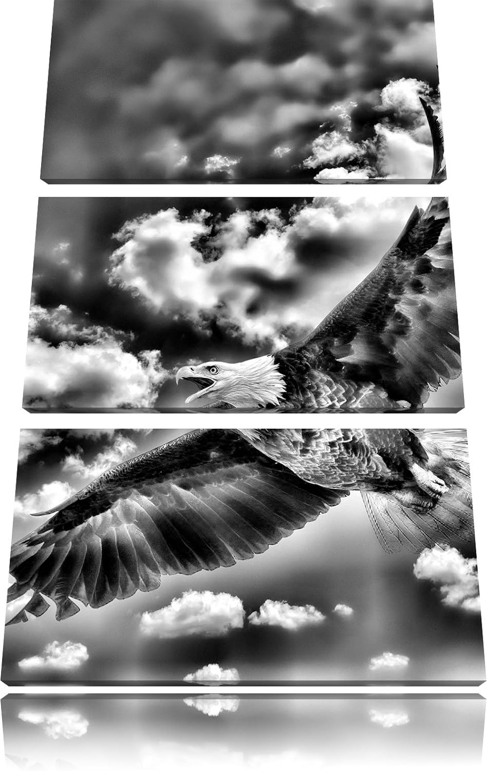 Pixxprint Adler fliegt über Berge als Leinwandbild/Grösse: 3 Teilig (120x80) cm/Wandbild/Kunstdruck/