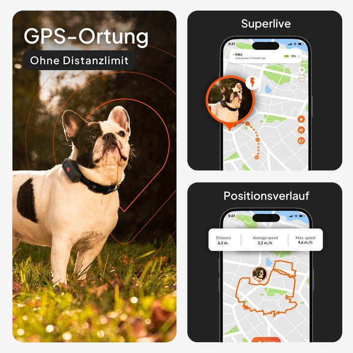 Weenect XS für Hunde - Mini GPS-Tracker für Hunde | GPS-Tracking in Echtzeit | Kleinstes Modell auf