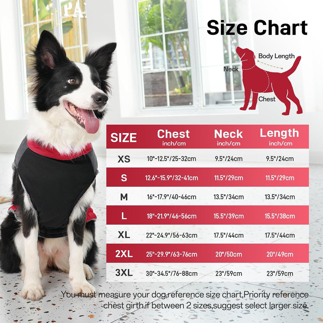 JoyDaog Warmer Fleece-Hundemantel für kleine Hunde, D-Ringe, wasserdichte Welpenjacke für den kalten