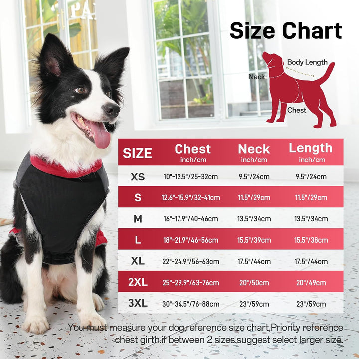JoyDaog Warmer Fleece-Hundemantel für kleine Hunde, D-Ringe, wasserdichte Welpenjacke für den kalten