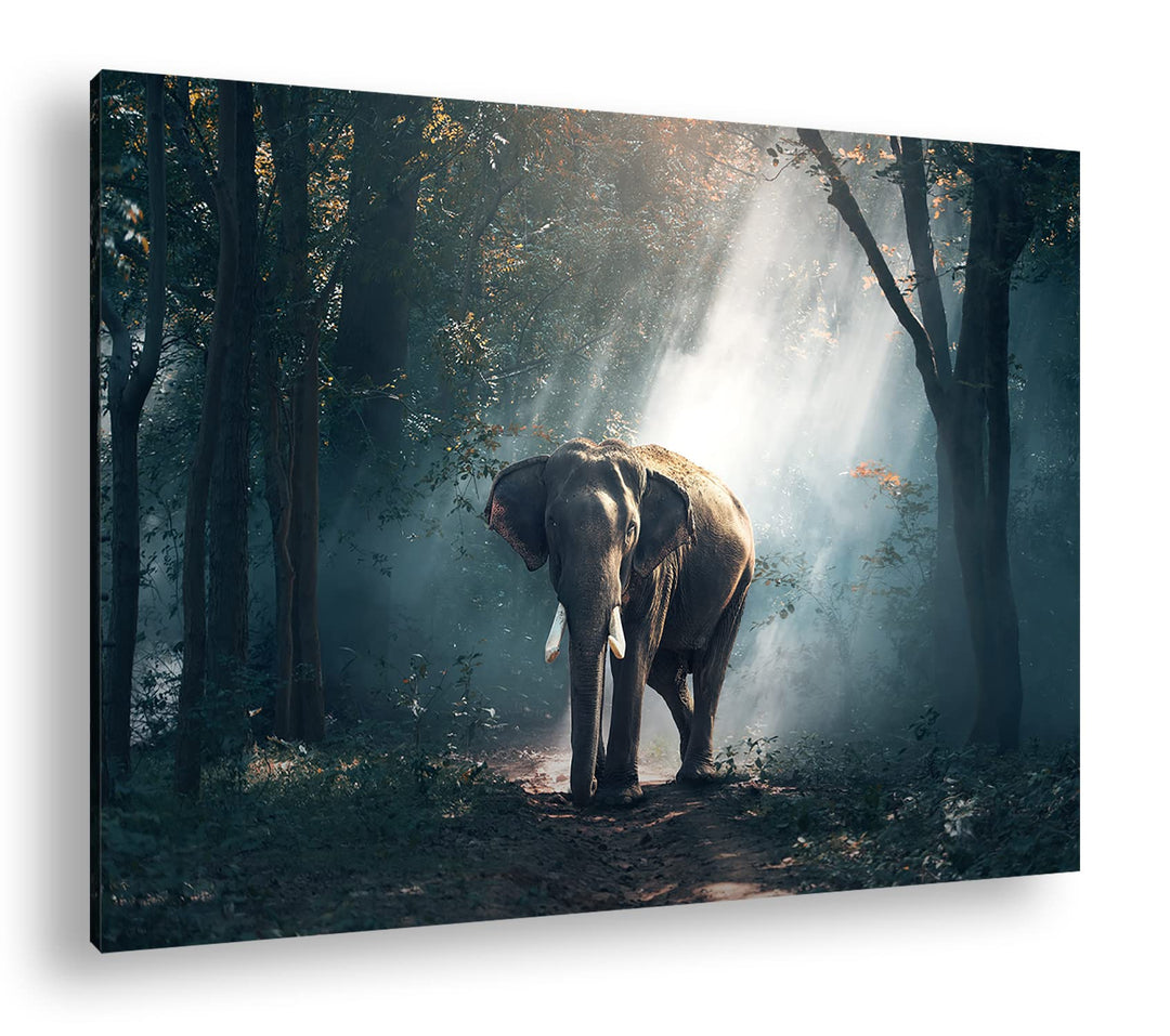 deyoli stolzer Elefant im Wald Format:90x60 cm als Leinwandbild, Motiv fertig gerahmt auf Echtholzra
