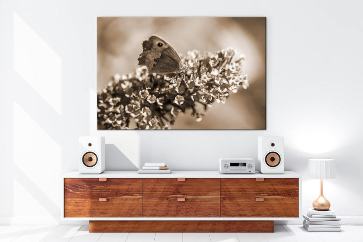 deyoli lieblicher Schmetterling Effekt: Sepia Format: 80x60 als Leinwandbild, Motiv fertig gerahmt a