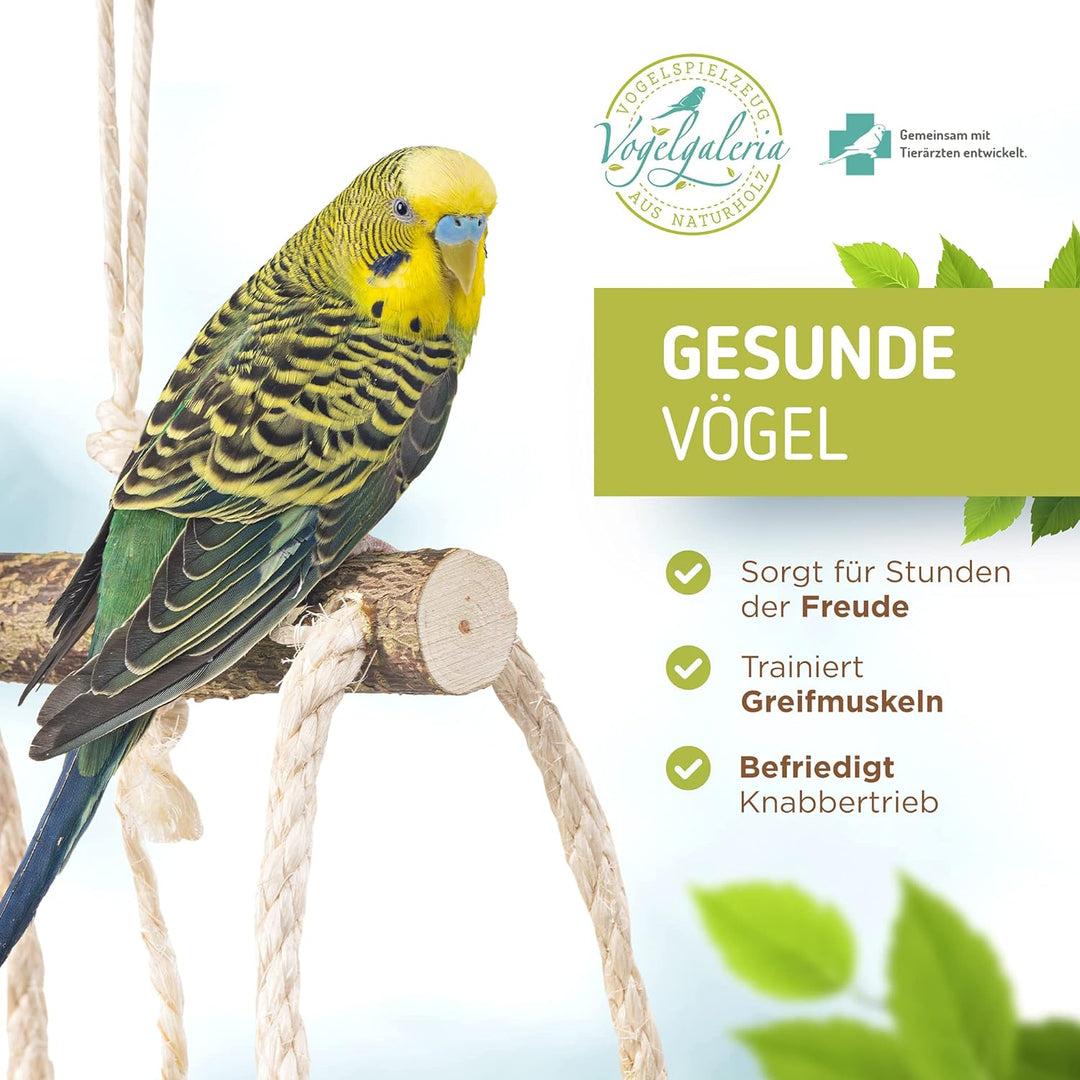 Atemberaubender Vogelspielplatz hängend mit vielen Sitzstangen ! Tolles Vogelspielzeug für Wellensit