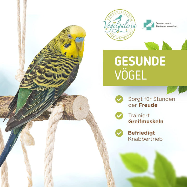 Atemberaubender Vogelspielplatz hängend mit vielen Sitzstangen ! Tolles Vogelspielzeug für Wellensit