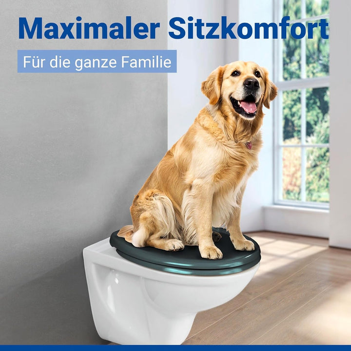 WENKO WC-Sitz Ottana Dunkelgrau, hygienischer Toilettensitz mit Absenkautomatik, WC-Deckel mit Fix-C