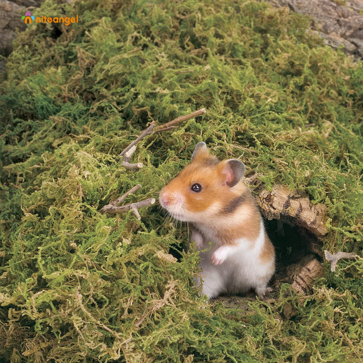 Niteangel 5L Waldboden Moos Weiches natürliches Moos zum Nestbau für Zwerg- und Syrische Hamster, Wü