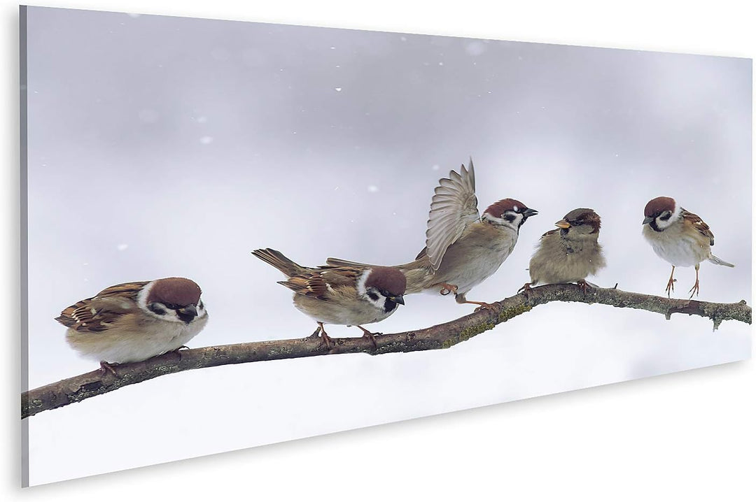 islandburner Bild auf Leinwand Spatzen Winter Verschneit Bilder Wandbilder Poster 120L x 40B cm, 120