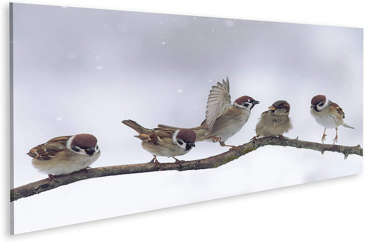 islandburner Bild auf Leinwand Spatzen Winter Verschneit Bilder Wandbilder Poster 120L x 40B cm, 120