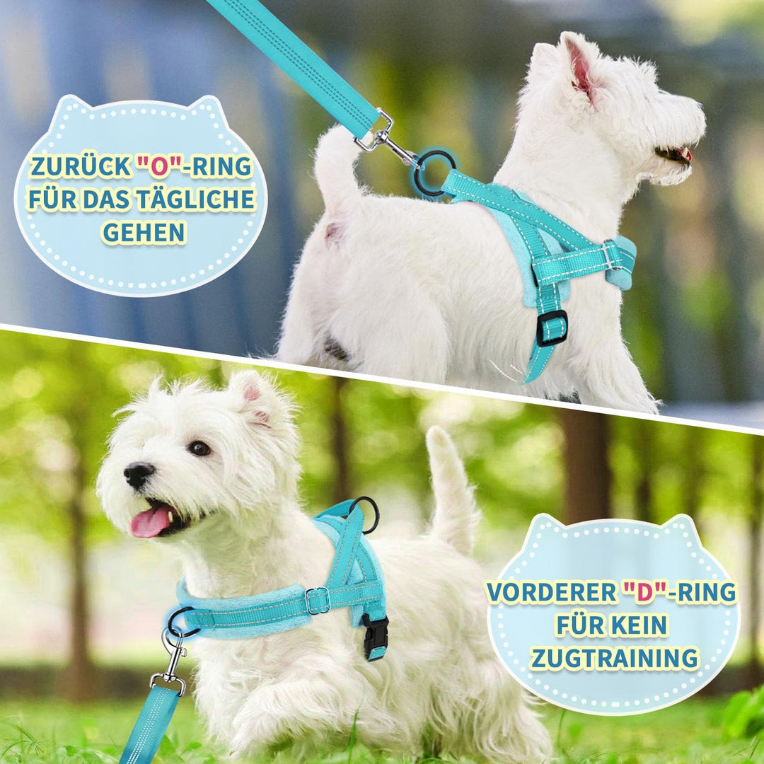 Hundegeschirr mit Leine für mittelgrosse Kleine Hunde, Weich gepolsterter No-Pull Brustgeschirr mit