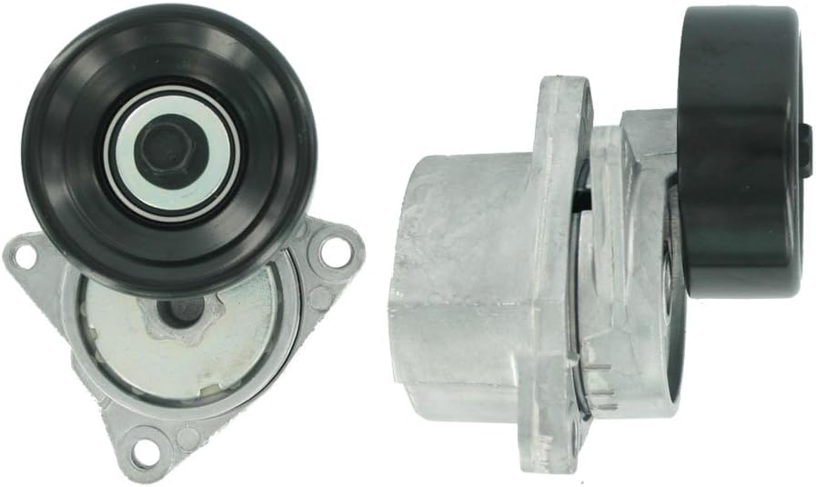 SKF VKM 62002 Spannrollensatz für Nebentrieb