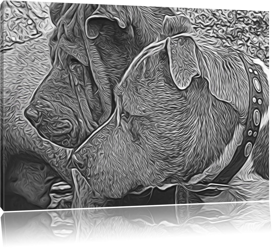 zwei Hunde im Profil Deluxe Format: 100x70 cm auf Leinwand, XXL riesige Bilder fertig gerahmt mit Ke