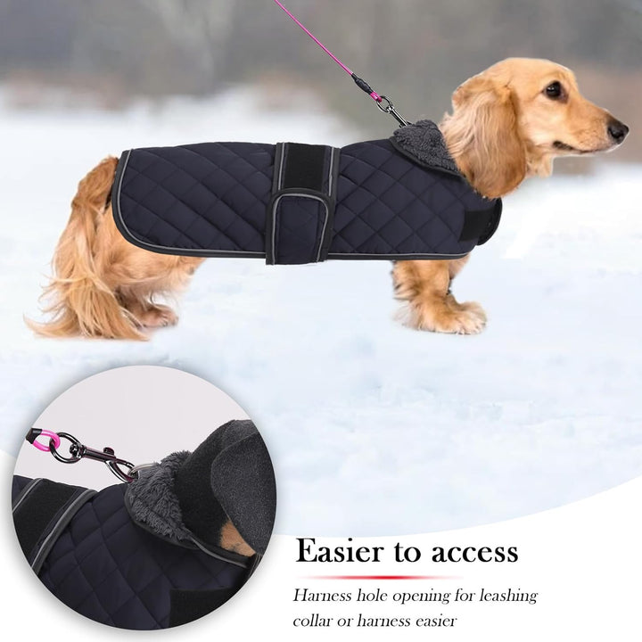 Geyecete - Warmer wintermantel für dackel Hunde,Hunde Winterjacken mit plüschfutter,Outdoor jacken m