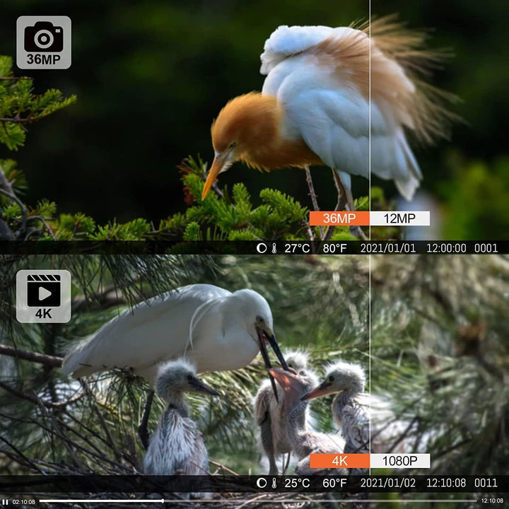 Wildkamera WLAN mit Handyübertragung APP, 4K Video Wildtierkamera, 36MP Full HD WLAN Wildkamera mit