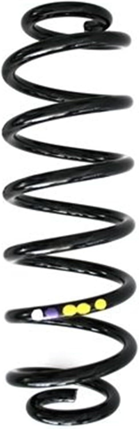 SPIDAN 86484 Fahrwerksfeder