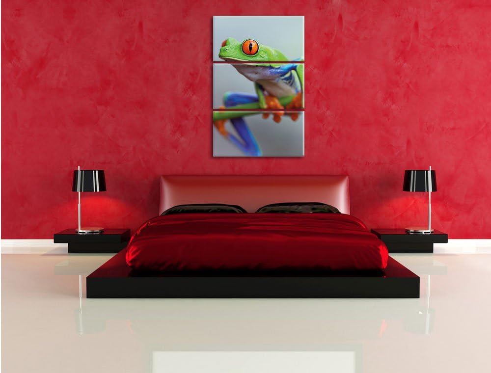 Pixxprint Grüner Frosch auf AST 3-Teiler Leinwandbild 120x80 Bild auf Leinwand