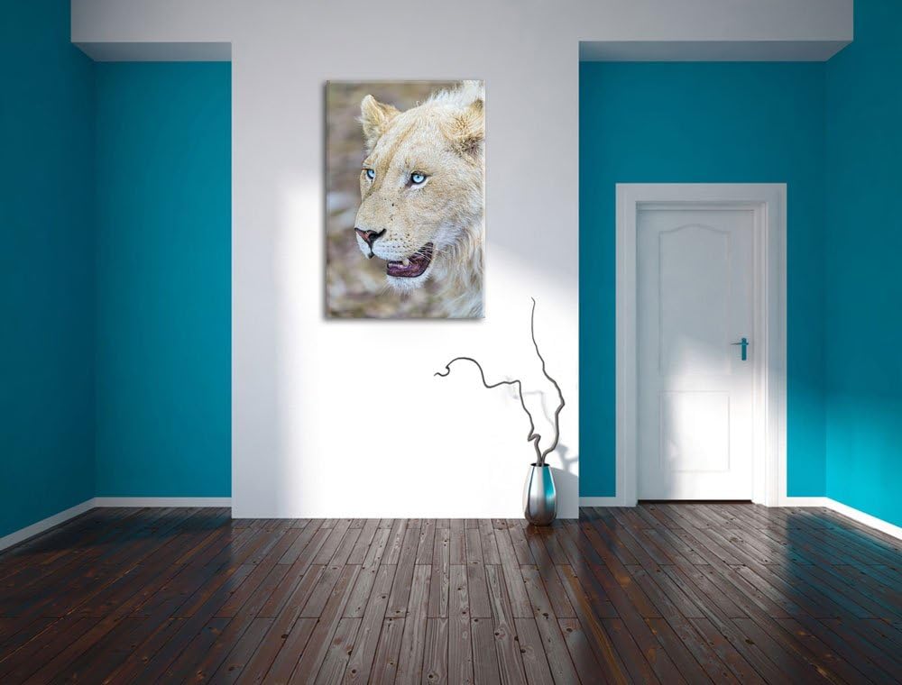 Pixxprint schöne weisse Löwin auf Leinwand, XXL riesige Bilder fertig gerahmt mit Keilrahmen, Kunstd