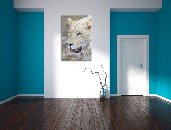 Pixxprint schöne weisse Löwin auf Leinwand, XXL riesige Bilder fertig gerahmt mit Keilrahmen, Kunstd