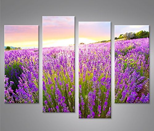 islandburner Bild Bilder auf Leinwand Lavendelfeld 4er XXL Poster Leinwandbild Wandbild Art up Your