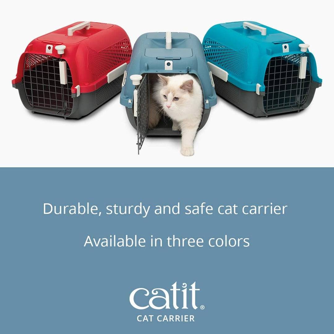 Transportbox für Katzen, Klein, Blaugrau Blaugrau Small, Blaugrau Small