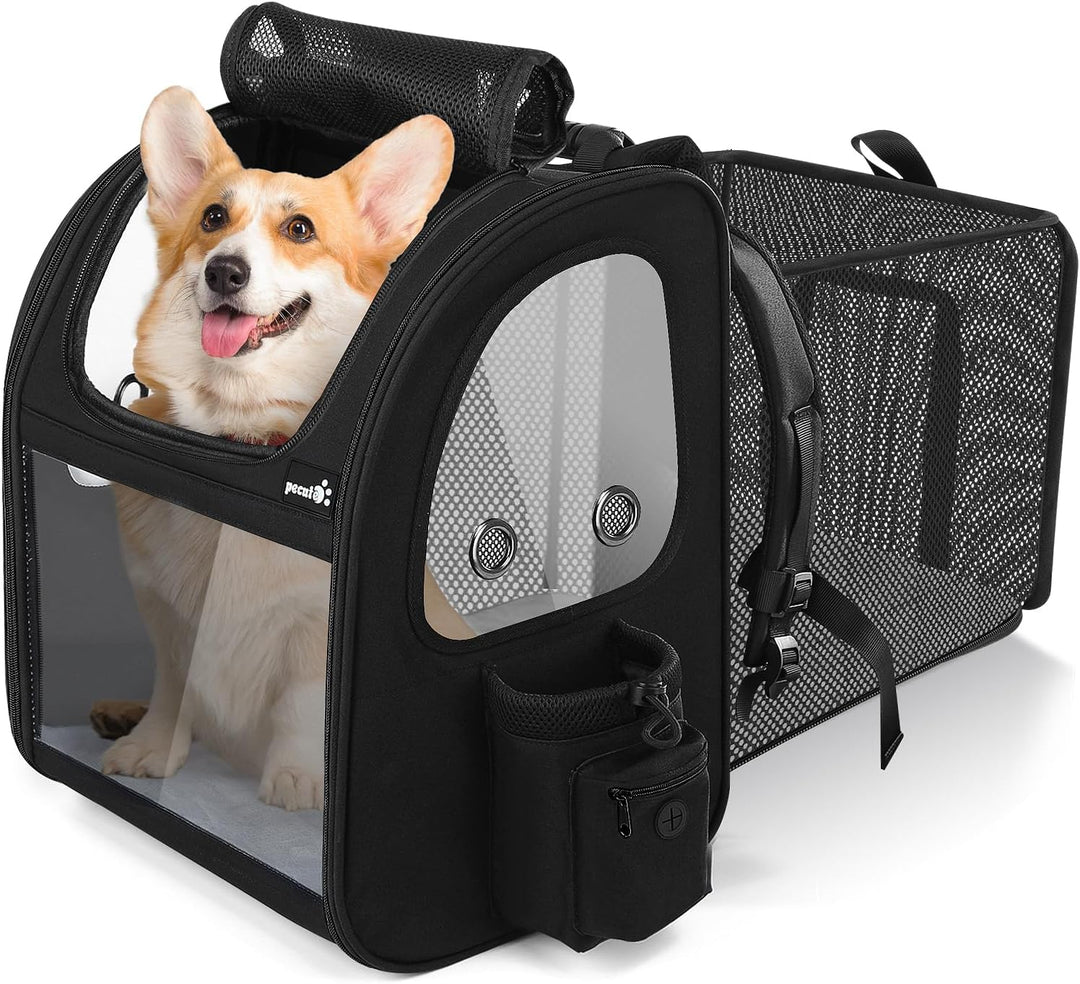 pecute Hunderucksack XL, Erweiterbar Faltbar, Katzenrucksack Grosse Katzen mit Anti-offener Reissver