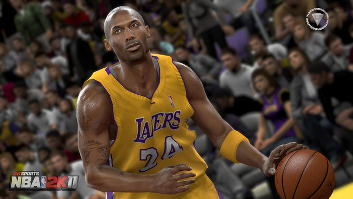 NBA 2K11 Nintendo Wii, Nintendo Wii