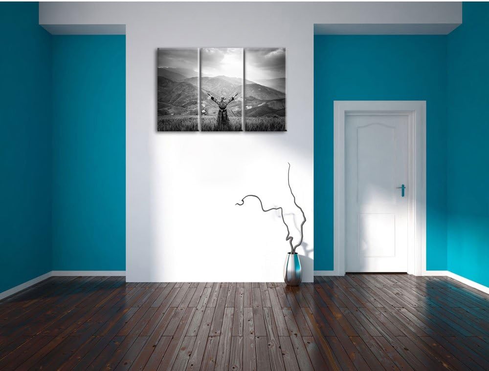 Pixxprint eine Berg Farm in Asien im Sonnenschein Kunst B&W 3-Teiler Leinwandbild 120x80 Bild auf Le