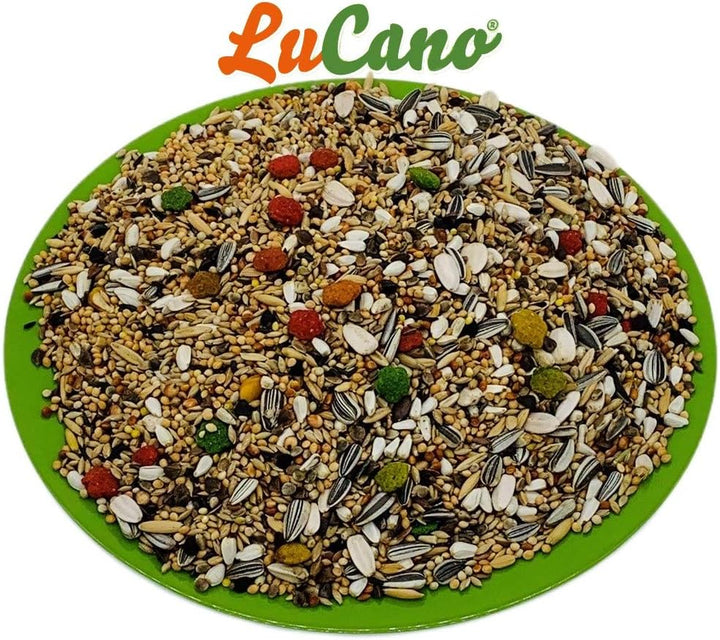 20 kg LuCano Gold Mix mit Früchten für Grosssittiche | Nymphensittiche | Vogelfutter 20.00 kg (1er P