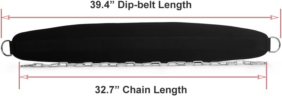 HemeraPhit Gewichtete Klimmzug Dips Gürtel Kette Doppel D Ring Gewichtheben Rückengurte Home Gym Zub